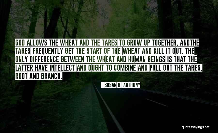 Klamidya Quotes By Susan B. Anthony Klamidya Quotes By Susan B. Anthony