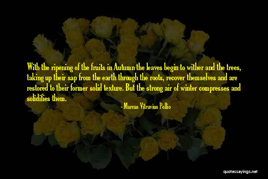 Klamki Do Okien Quotes By Marcus Vitruvius Pollio Klamki Do Okien Quotes By Marcus Vitruvius Pollio