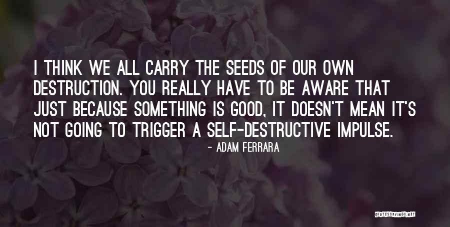 Klapperich Ice Quotes By Adam Ferrara Klapperich Ice Quotes By Adam Ferrara