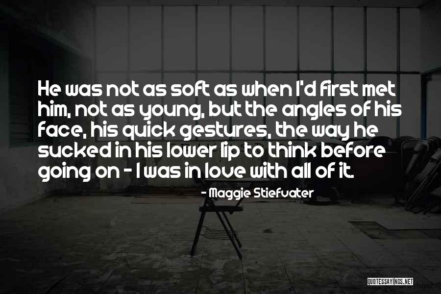 Klarsfeld Veterinarian Quotes By Maggie Stiefvater Klarsfeld Veterinarian Quotes By Maggie Stiefvater