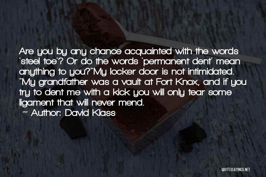 Klass Quotes By David Klass