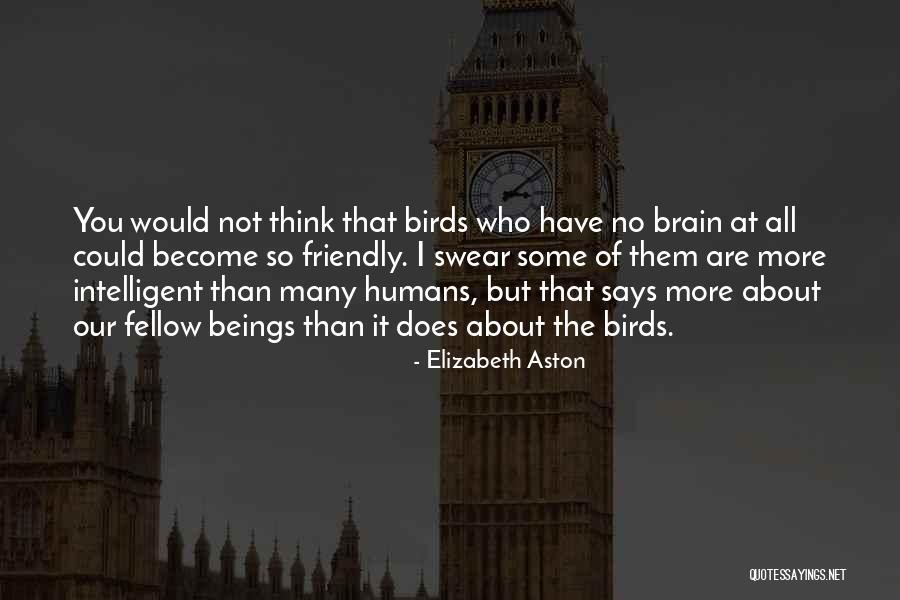 Klassenarbeit Quotes By Elizabeth Aston Klassenarbeit Quotes By Elizabeth Aston