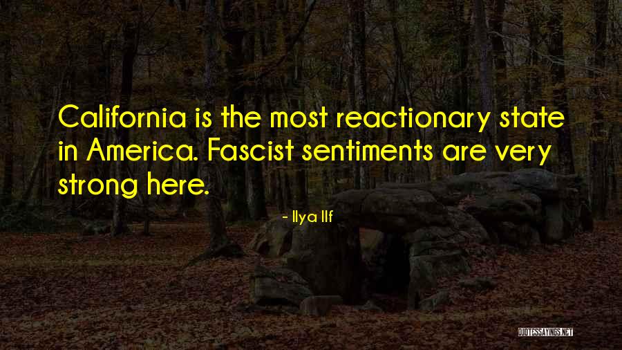 Klaudio Cocoli Quotes By Ilya Ilf Klaudio Cocoli Quotes By Ilya Ilf