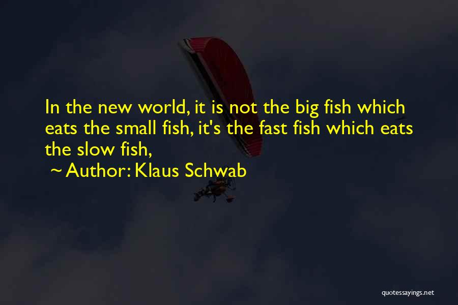 Klaus Schwab Quotes 229169