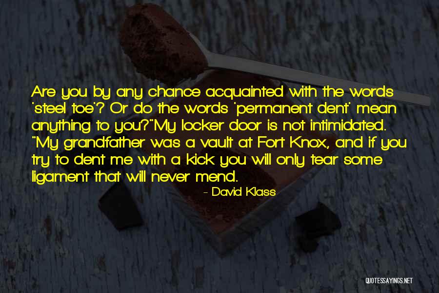 Klavuz 2017 Quotes By David Klass Klavuz 2017 Quotes By David Klass