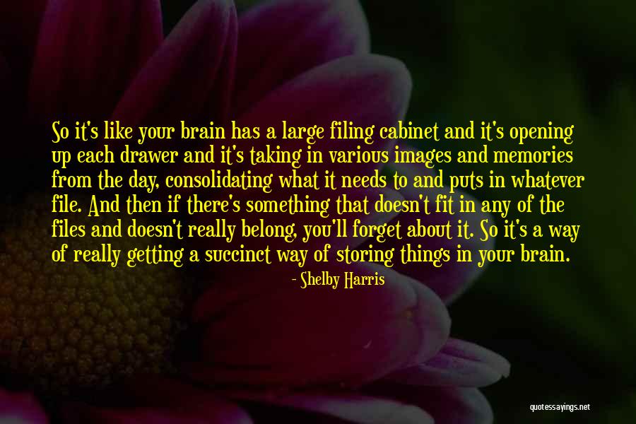 Kleerup Band Quotes By Shelby Harris Kleerup Band Quotes By Shelby Harris