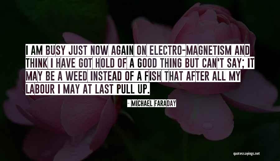 Kleindienst Attorney Quotes By Michael Faraday Kleindienst Attorney Quotes By Michael Faraday
