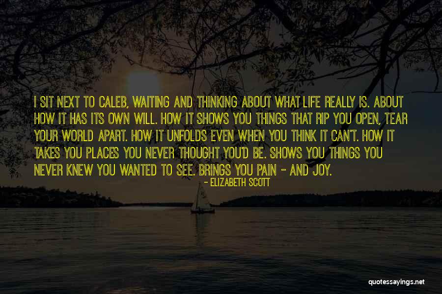 Klempner Schumann Quotes By Elizabeth Scott Klempner Schumann Quotes By Elizabeth Scott
