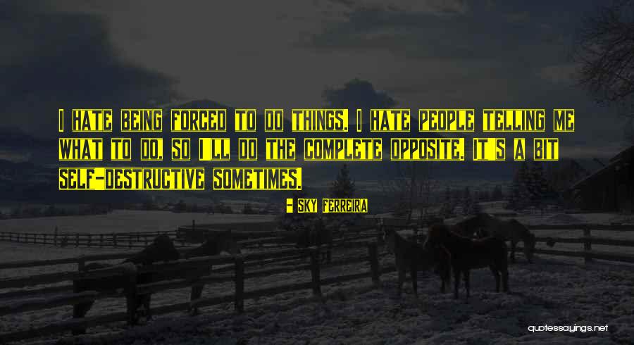 Klempner Schumann Quotes By Sky Ferreira Klempner Schumann Quotes By Sky Ferreira