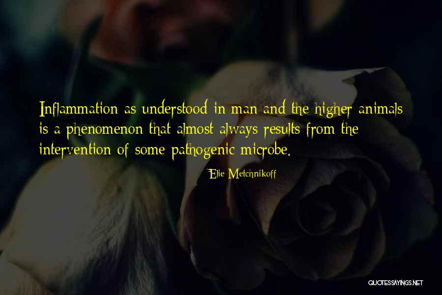 Kleopatra Beach Quotes By Elie Metchnikoff Kleopatra Beach Quotes By Elie Metchnikoff