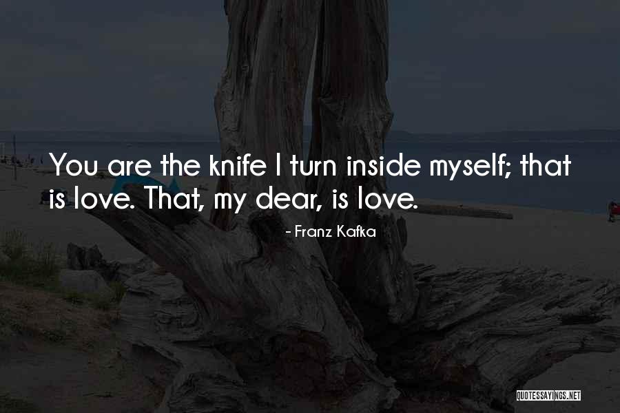Klieberts Turtle Quotes By Franz Kafka