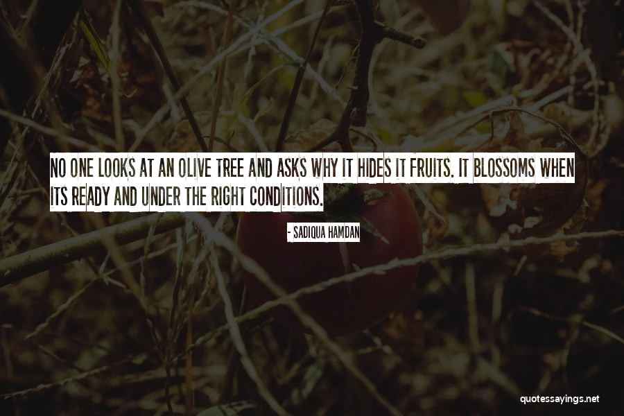 Klimke Ovation Quotes By Sadiqua Hamdan Klimke Ovation Quotes By Sadiqua Hamdan