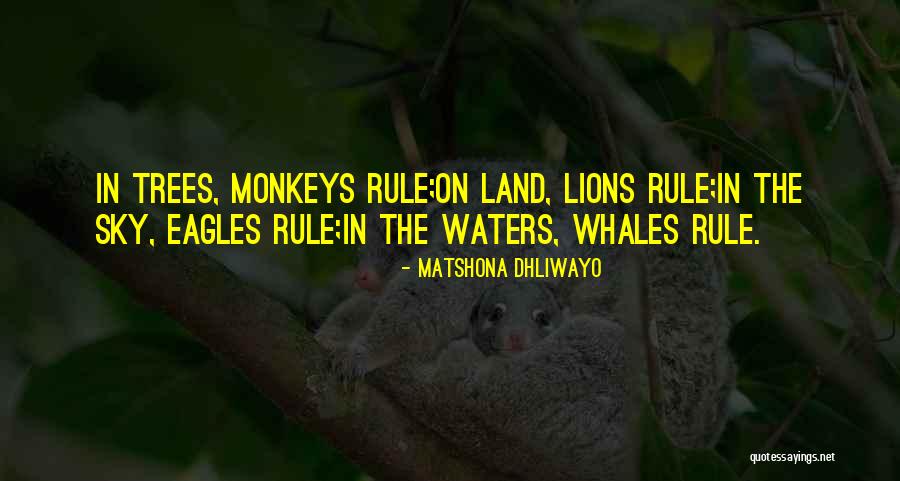 Klincis Ribnjaka Quotes By Matshona Dhliwayo Klincis Ribnjaka Quotes By Matshona Dhliwayo