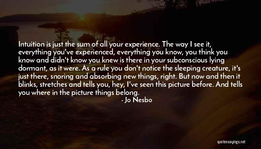 Klingelhofer Corp Quotes By Jo Nesbo Klingelhofer Corp Quotes By Jo Nesbo