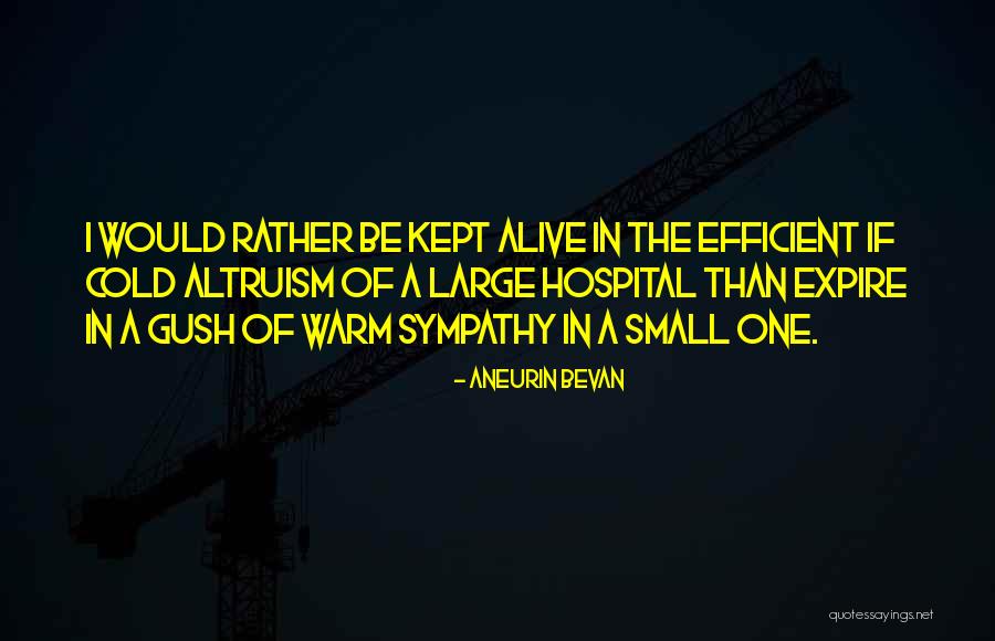 Klinta Teilane Quotes By Aneurin Bevan Klinta Teilane Quotes By Aneurin Bevan