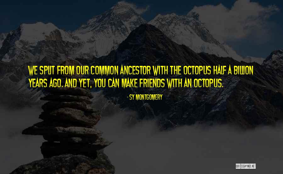 Klippan Cover Quotes By Sy Montgomery Klippan Cover Quotes By Sy Montgomery