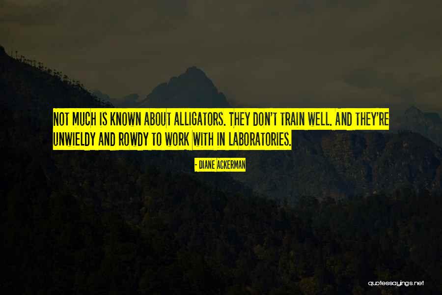 Klischee Quotes By Diane Ackerman Klischee Quotes By Diane Ackerman
