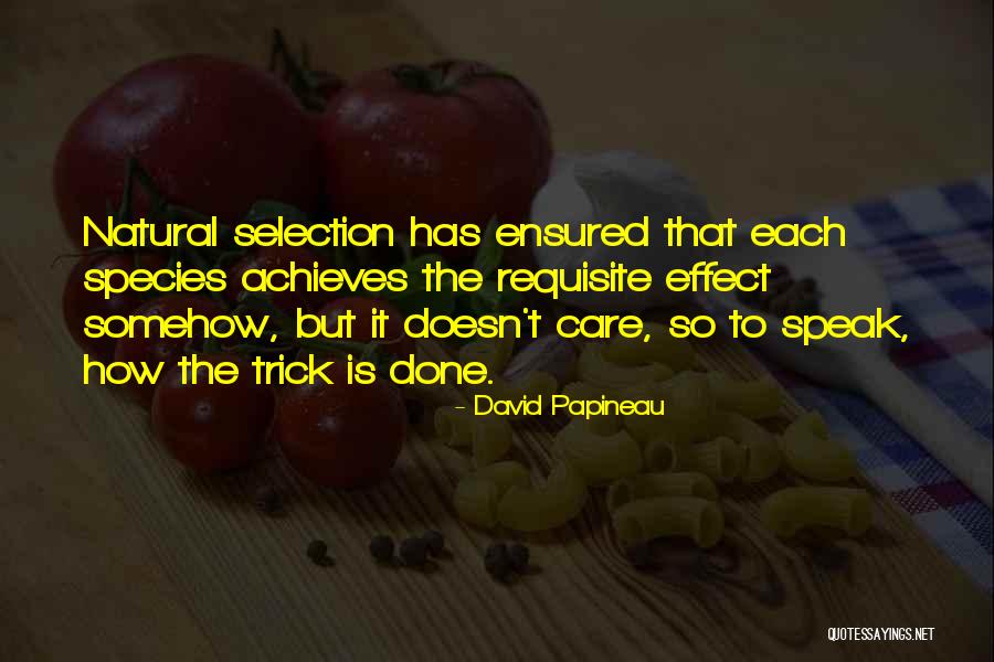 Klitorisz Quotes By David Papineau Klitorisz Quotes By David Papineau