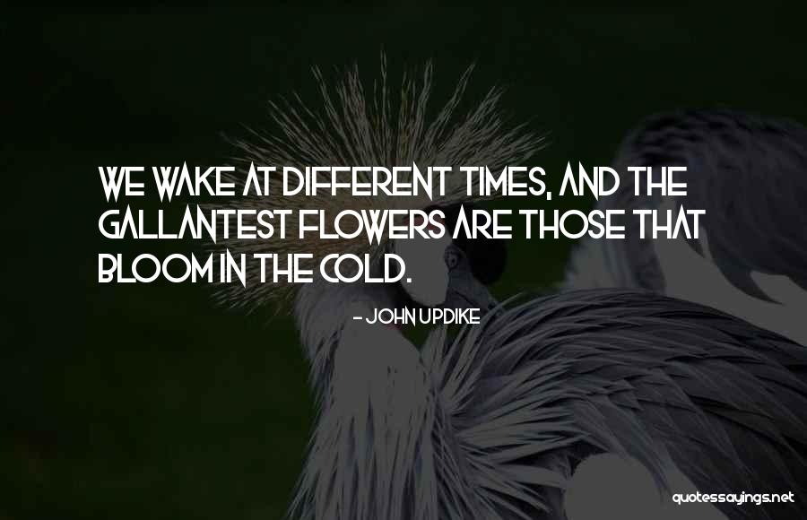 Klnstec Quotes By John Updike Klnstec Quotes By John Updike