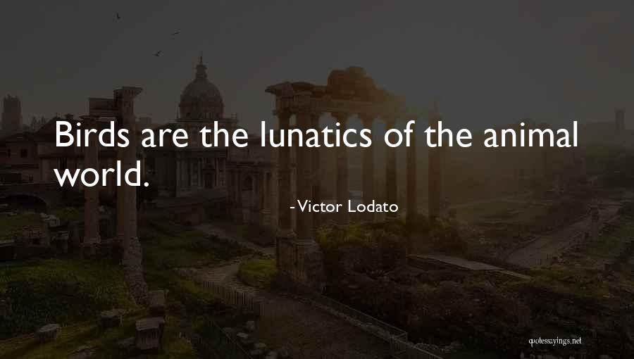 Klokoty Quotes By Victor Lodato