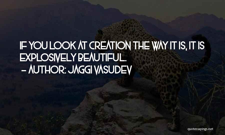 Kloosterboer Quotes By Jaggi Vasudev