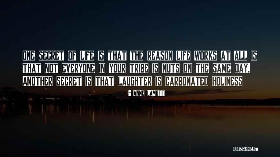 Klvi Quotes By Anne Lamott Klvi Quotes By Anne Lamott