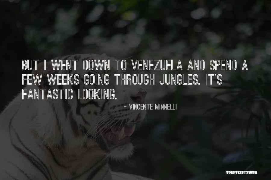 Knaakee Quotes By Vincente Minnelli Knaakee Quotes By Vincente Minnelli