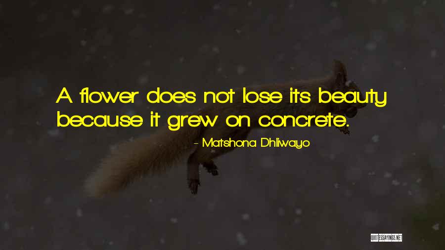 Knalpot Yoshimura Quotes By Matshona Dhliwayo