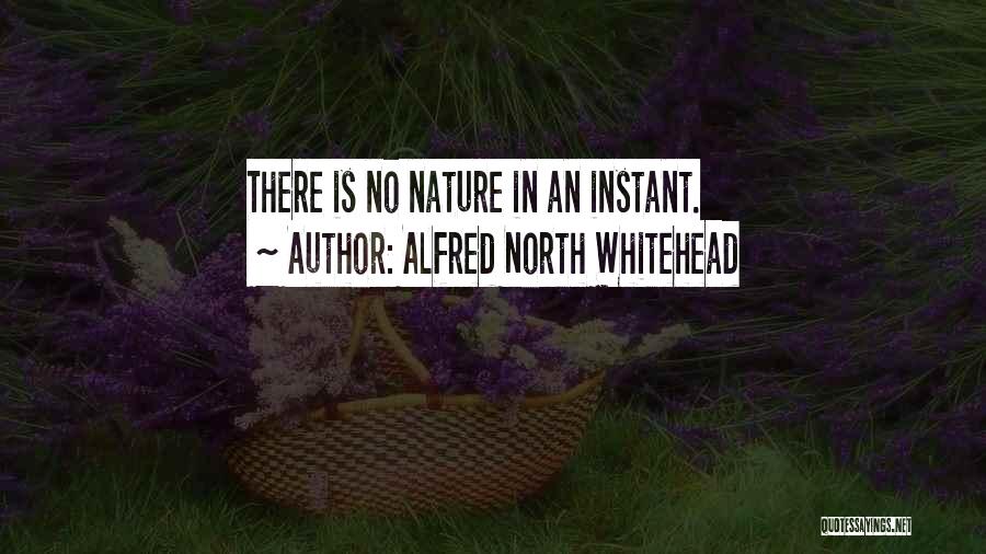 Knappertsbusch Mozart Quotes By Alfred North Whitehead