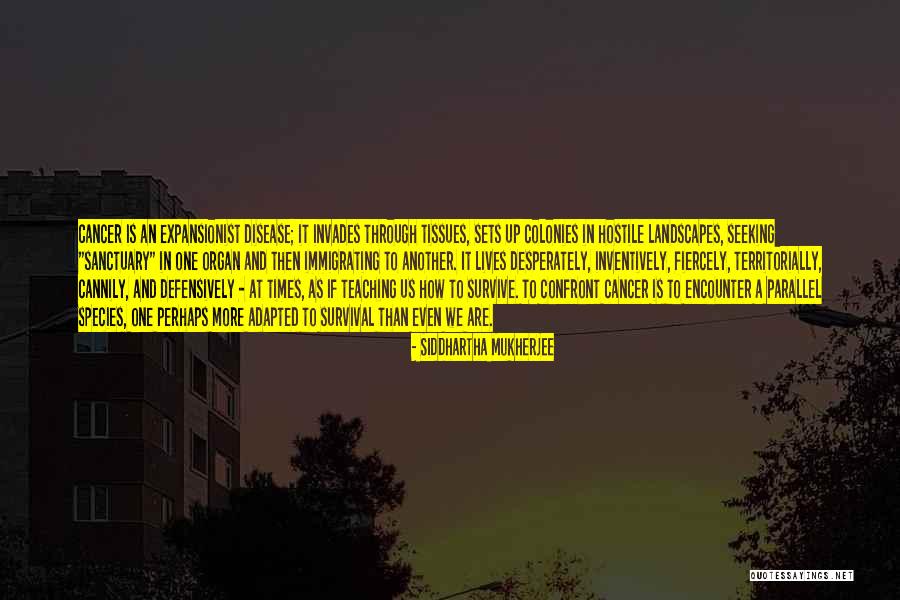 Knausgard On Kerouac Quotes By Siddhartha Mukherjee Knausgard On Kerouac Quotes By Siddhartha Mukherjee