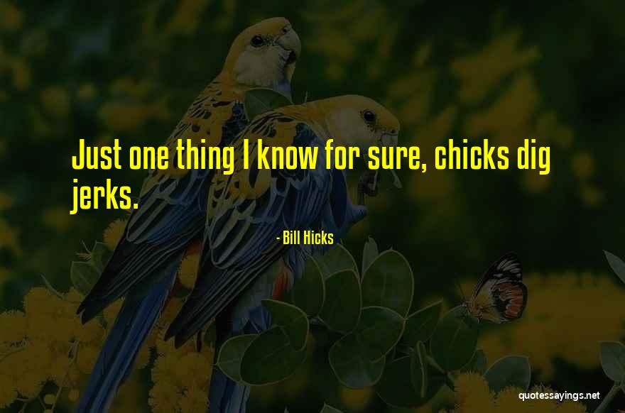 Knebel Brewers Quotes By Bill Hicks Knebel Brewers Quotes By Bill Hicks