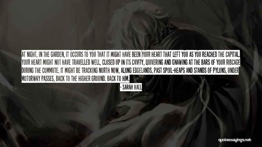 Knee Jerk Reflex Quotes By Sarah Hall