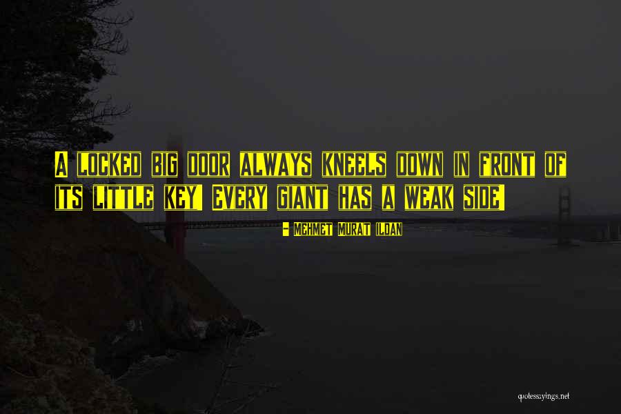 Kneels Quotes By Mehmet Murat Ildan Kneels Quotes By Mehmet Murat Ildan