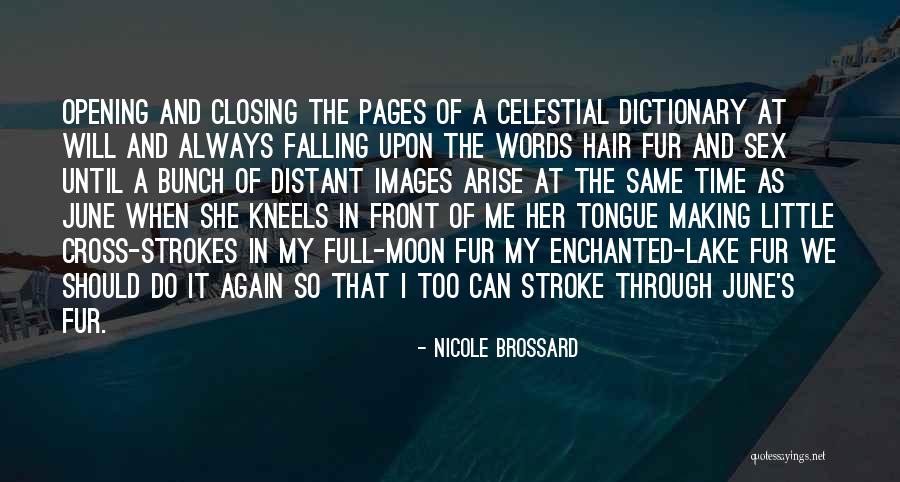 Kneels Quotes By Nicole Brossard Kneels Quotes By Nicole Brossard