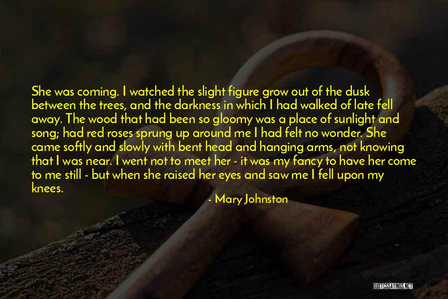 Knees Song Quotes By Mary Johnston Knees Song Quotes By Mary Johnston
