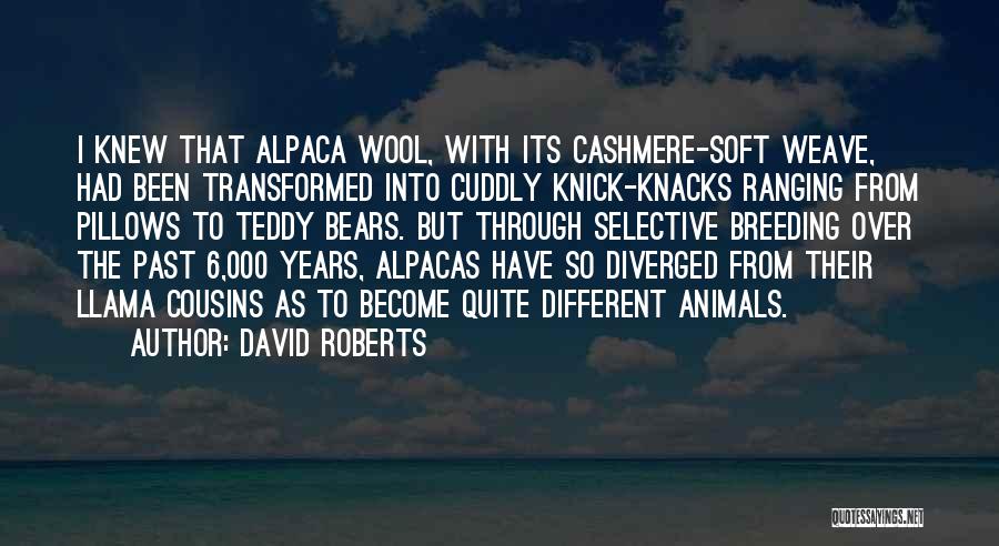 Knick Knacks Quotes By David Roberts