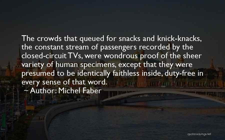 Knick Knacks Quotes By Michel Faber