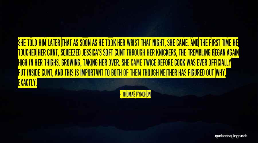 Knickers Quotes By Thomas Pynchon Knickers Quotes By Thomas Pynchon