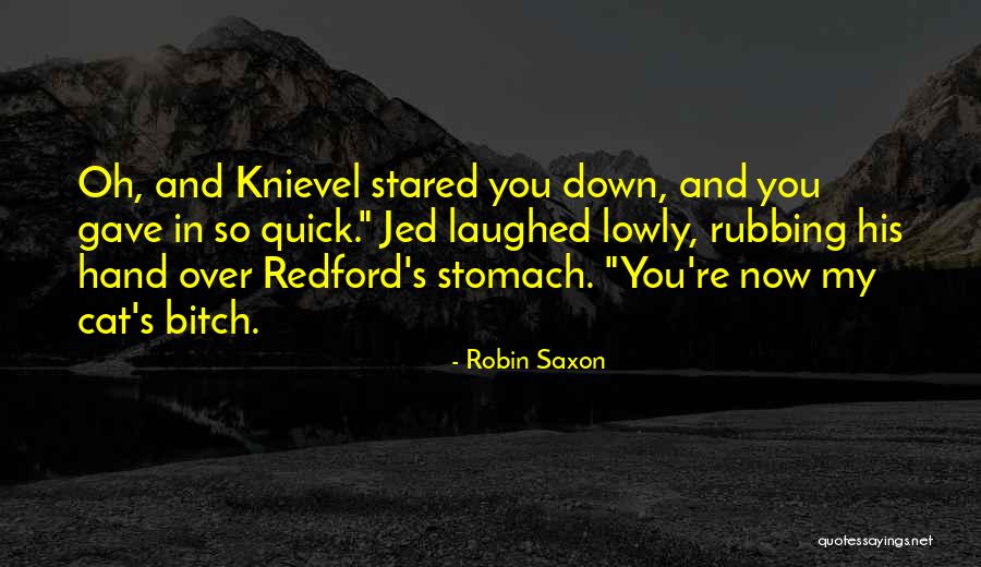 Knievel Quotes By Robin Saxon