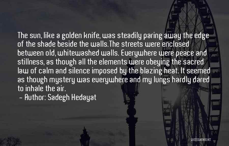 Knife Edge Quotes By Sadegh Hedayat