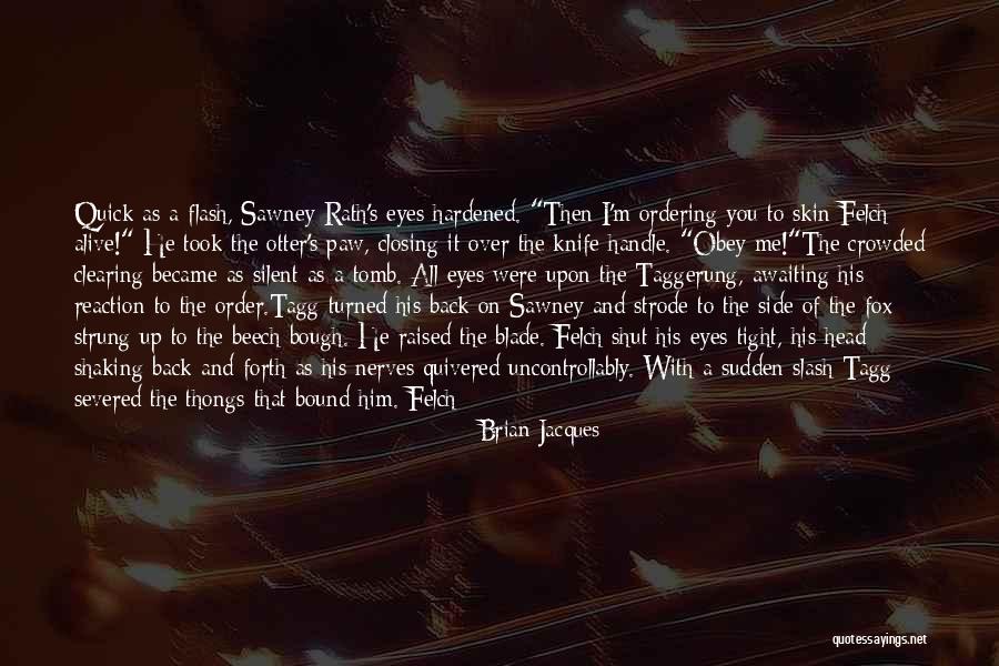 Knife In Back Quotes By Brian Jacques Knife In Back Quotes By Brian Jacques