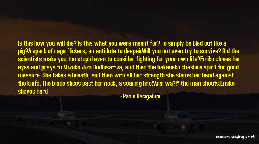 Knife In Back Quotes By Paolo Bacigalupi Knife In Back Quotes By Paolo Bacigalupi