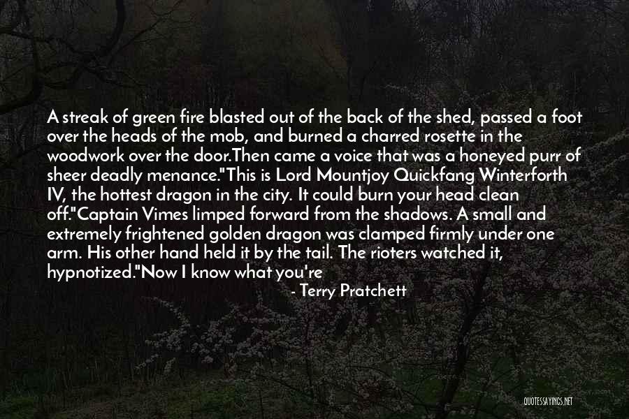 Knife In Back Quotes By Terry Pratchett Knife In Back Quotes By Terry Pratchett
