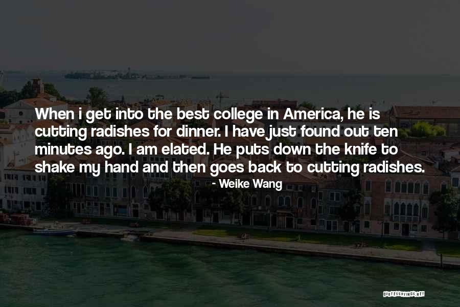 Knife In Back Quotes By Weike Wang Knife In Back Quotes By Weike Wang