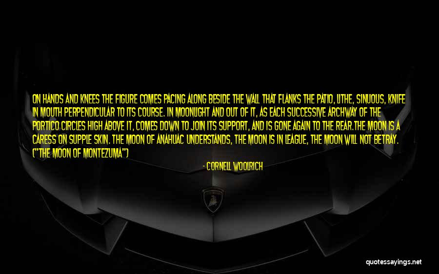 Knife That Quotes By Cornell Woolrich Knife That Quotes By Cornell Woolrich