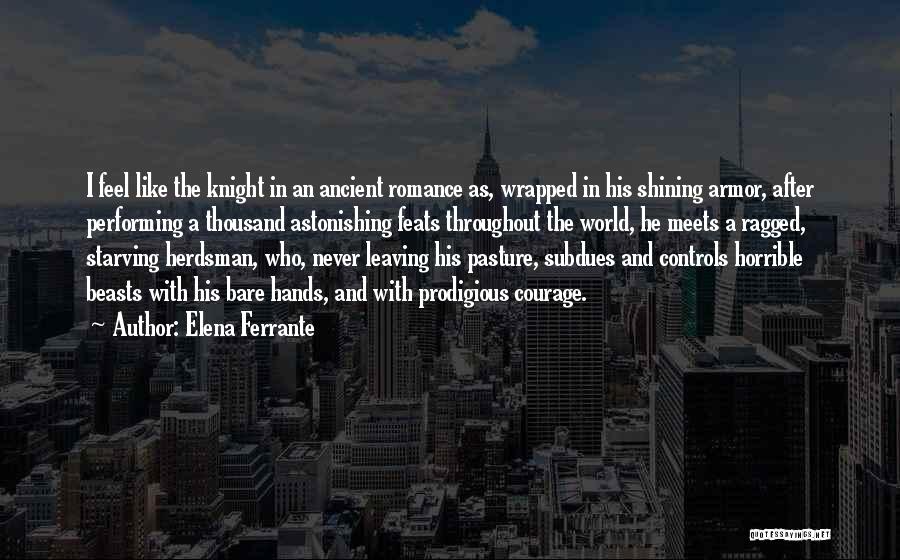 Knight In Shining Armor Quotes By Elena Ferrante