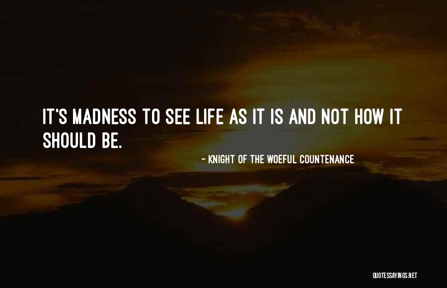 Knight Of The Woeful Countenance Quotes 1527605 Knight Of The Woeful Countenance Quotes 1527605