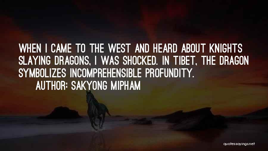 Knights And Dragons Quotes By Sakyong Mipham