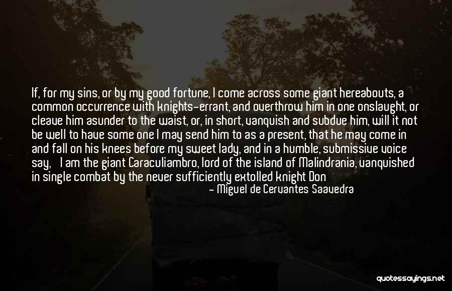 Knights Quotes By Miguel De Cervantes Saavedra Knights Quotes By Miguel De Cervantes Saavedra