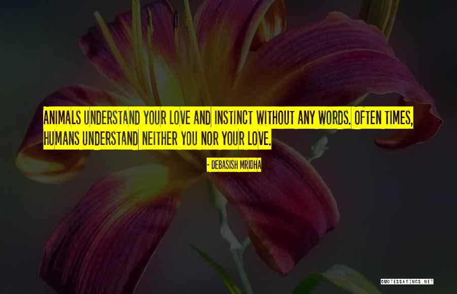 Knights Tale Chivalry Quotes By Debasish Mridha Knights Tale Chivalry Quotes By Debasish Mridha
